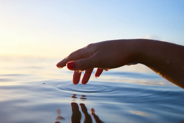 person touching calm water 