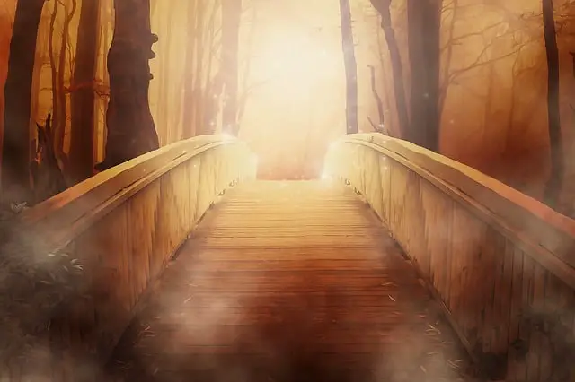 fantasy bridge leading to a forest
