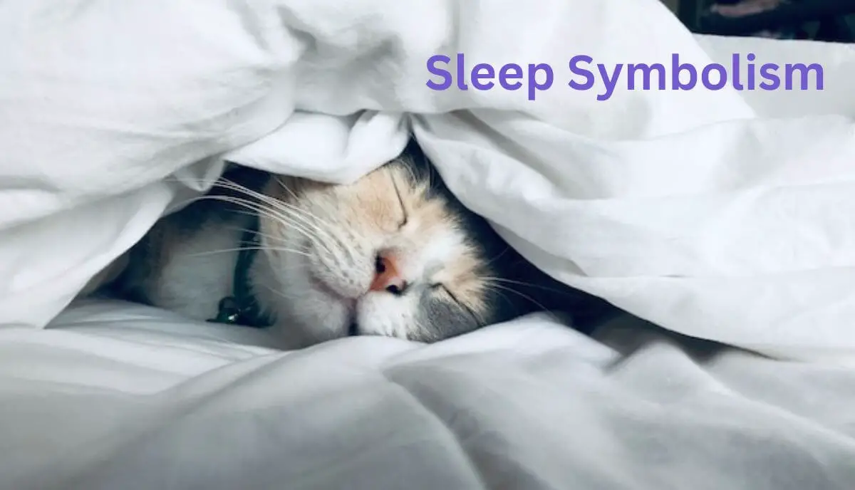 sleep symbolism