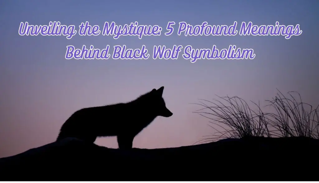Black Wolf Symbolism Unraveling 7 Hidden Meanings Meaning Library